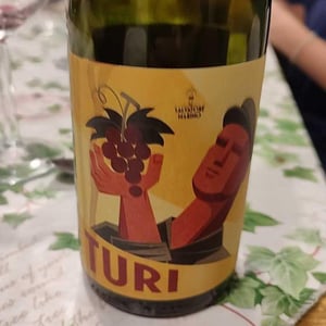 Turi Rosso - Azienda Agricola Salvatore Marino - Salvatore Marino 