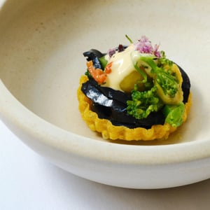 Turmeric Tartlet - Pianeta Terra - 630978