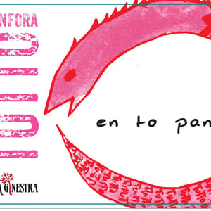 Tutto Anfora Rosato - La Ginestra - dario-nocci-alessandro-bicchi-matteo-rinaldi
