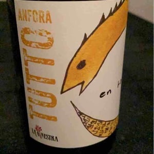 Tutto Anfora Bianco - La Ginestra - dario-nocci-alessandro-bicchi-matteo-rinaldi
