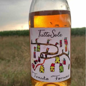Tutto sole - Tenuta Fornace - andrea-rossi