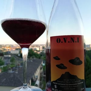 O.V.N.I - Domaine Thuronis - Vigneron Bien Fêteur - Alexandre Coulange & Astrid Lerouxel 