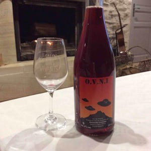 Domaine Thuronis - Vigneron Bien Fêteur - Alexandre Coulange & Astrid Lerouxel - O.V.N.I
