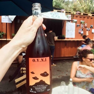 O.V.N.I - Domaine Thuronis - Vigneron Bien Fêteur - Alexandre Coulange & Astrid Lerouxel 