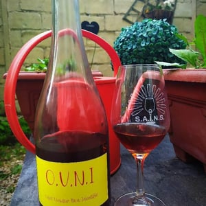 O.V.N.I - Vignobles Doulmet - Domaine Du Fils D'Eole - thierry-remy-doulmet