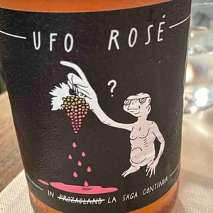 UFO Rose - Tenuta l'Armonia - Andrea Pendin 