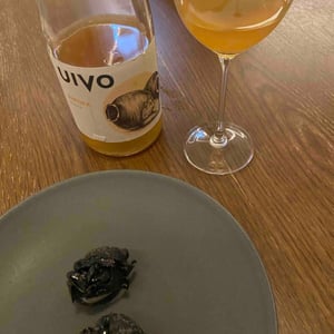 Uivo Ânfora - Folias de Baco - Tiago Sampaio -2019