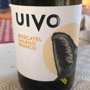 Uivo Moscatel Galego Branco - Folias de Baco - tiago-sampaio -2022