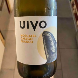 Folias de Baco - Tiago Sampaio - Uivo Moscatel Galego Branco