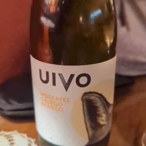 Uivo Moscatel Galego Branco - Folias de Baco - Tiago Sampaio -2022