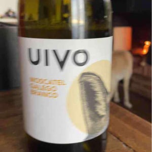Uivo Moscatel Galego Branco - Folias de Baco - Tiago Sampaio -2022