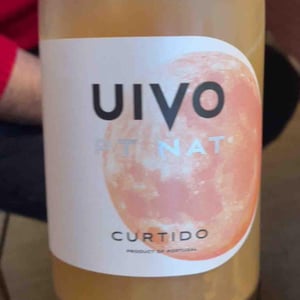 Uivo Vinhas Velhas Tinto - Folias de Baco - Tiago Sampaio -2019