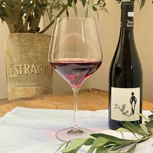 Ull De Llebre - Celler Cal Tiques - Joan Rubio 