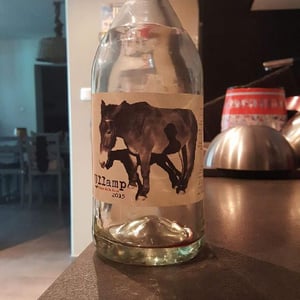 Ullamp - Vinyer de la Ruca - Manuel di Vecchi Staraz 