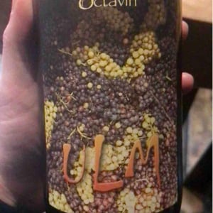 Ulm - Domaine de l'Octavin - Alice Bouvot 