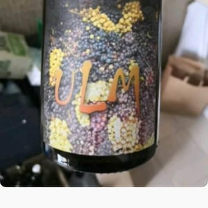 Ulm - Domaine de l'Octavin - Alice Bouvot 