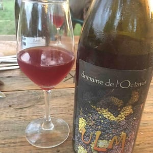 Ulm - Domaine de l'Octavin - alice-bouvot