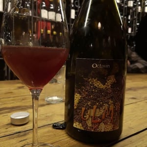 Ulm - Domaine de l'Octavin - Alice Bouvot 