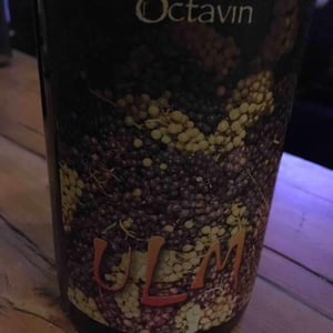 Ulm - Domaine de l'Octavin - Alice Bouvot 