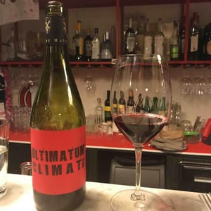 Clos des Vignes du Maynes - Julien Guillot - Ultimatum Climat
