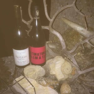 Ultimatum Climat - Clos des Vignes du Maynes - julien-guillot