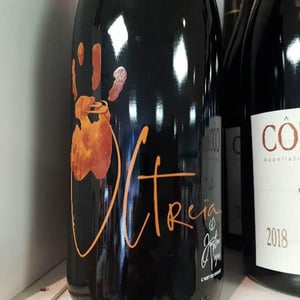 Ultreia (Amphore) - Justine Vigne - justine-vigne