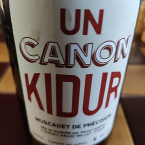 Un Canon Kidur - Domaine Passe Pont - David Landron 
