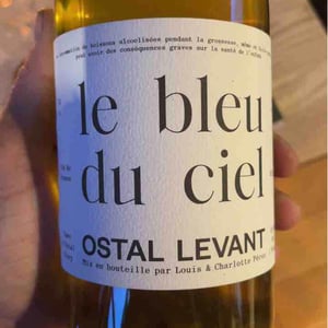 Ostal Levant - Louis & Charlotte Pérot - Un Coeur Simple