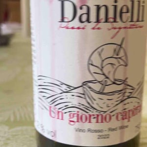 Un giorno capirai - Riccardo Danielli - riccardo-danielli
