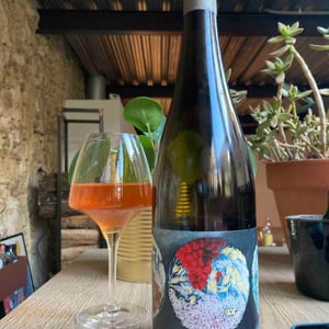 Vignoble du Rêveur - Mathieu Deiss & Emmanuelle Milan - Un Instant Sur Terre