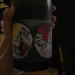 Un Instant Sur Terre - Vignoble du Rêveur - Mathieu Deiss & Emmanuelle Milan 