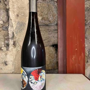 Un Instant Sur Terre - Vignoble du Rêveur - mathieu-deiss-emmanuelle-milan