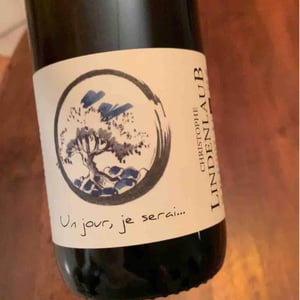 Un Jour, Je Serai - Lindenlaub - christophe-lindenlaub
