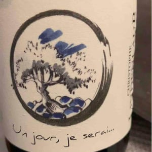Un Jour, Je Serai