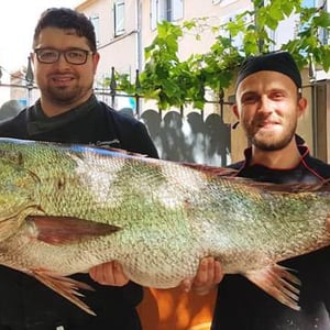 Un Maigre - La Cranquette - 364763