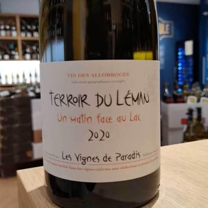 Un Matin Face Au Lac - Les Vignes de Paradis - dominique-lucas