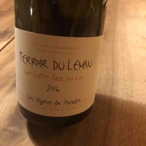 Un Matin Face Au Lac - Les Vignes de Paradis - Dominique Lucas 