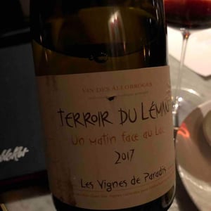 Un Matin Face Au Lac - Les Vignes de Paradis - dominique-lucas