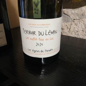 Un Matin Face Au Lac - Les Vignes de Paradis - dominique-lucas