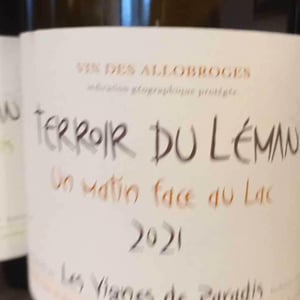 Un Matin Face Au Lac - Les Vignes de Paradis - dominique-lucas
