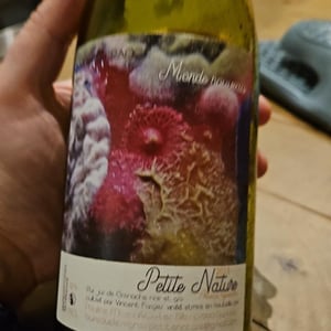 Un Monde Nouveau