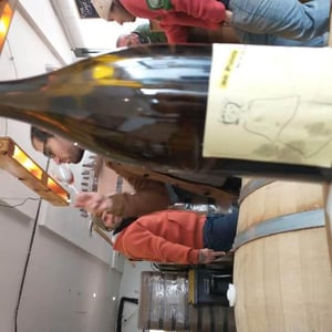 Un Palotin - Force Boisson - Daniel Sage & Jordi Torgue 