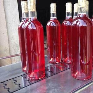 Un Printemps Givré À Chastelet - Domaine de Chastelet - Valérie & Sylvère Coquereau 