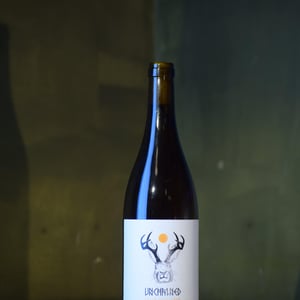 Unchained Roter Veltliner - Weingut Martin Obenaus - Martin Obenaus -2021