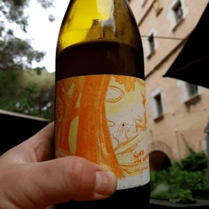 Sota els Ametllers - Celler La Salada - Toni Carbó 