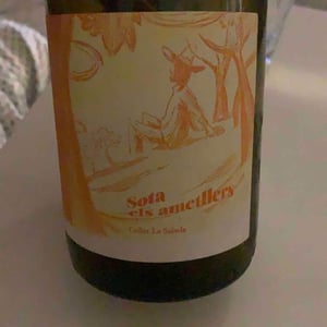 Sota els Ametllers - Celler La Salada - toni-carbo