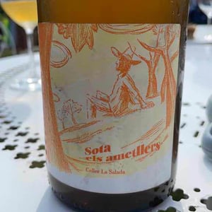 Celler La Salada - Toni Carbó - Sota els Ametllers