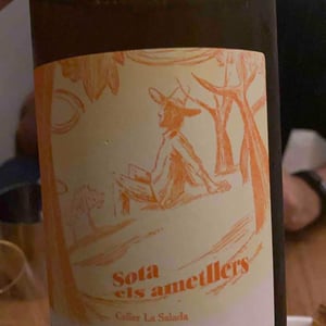 Celler La Salada - Toni Carbó - Sota els Ametllers