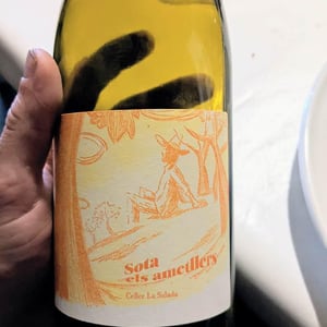 Celler La Salada - Toni Carbó - Sota els Ametllers