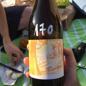 Celler La Salada - Toni Carbó - Sota els Ametllers